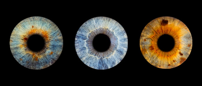 Zdjęcie z galerii: edit1