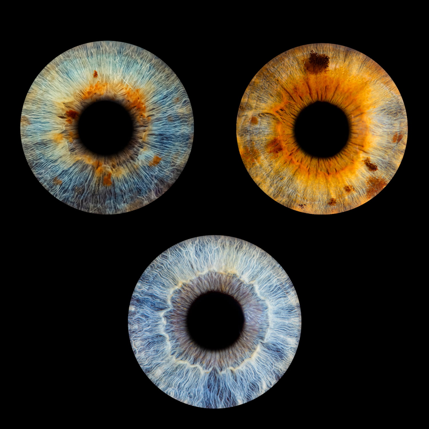 Zdjęcie z galerii: edit11