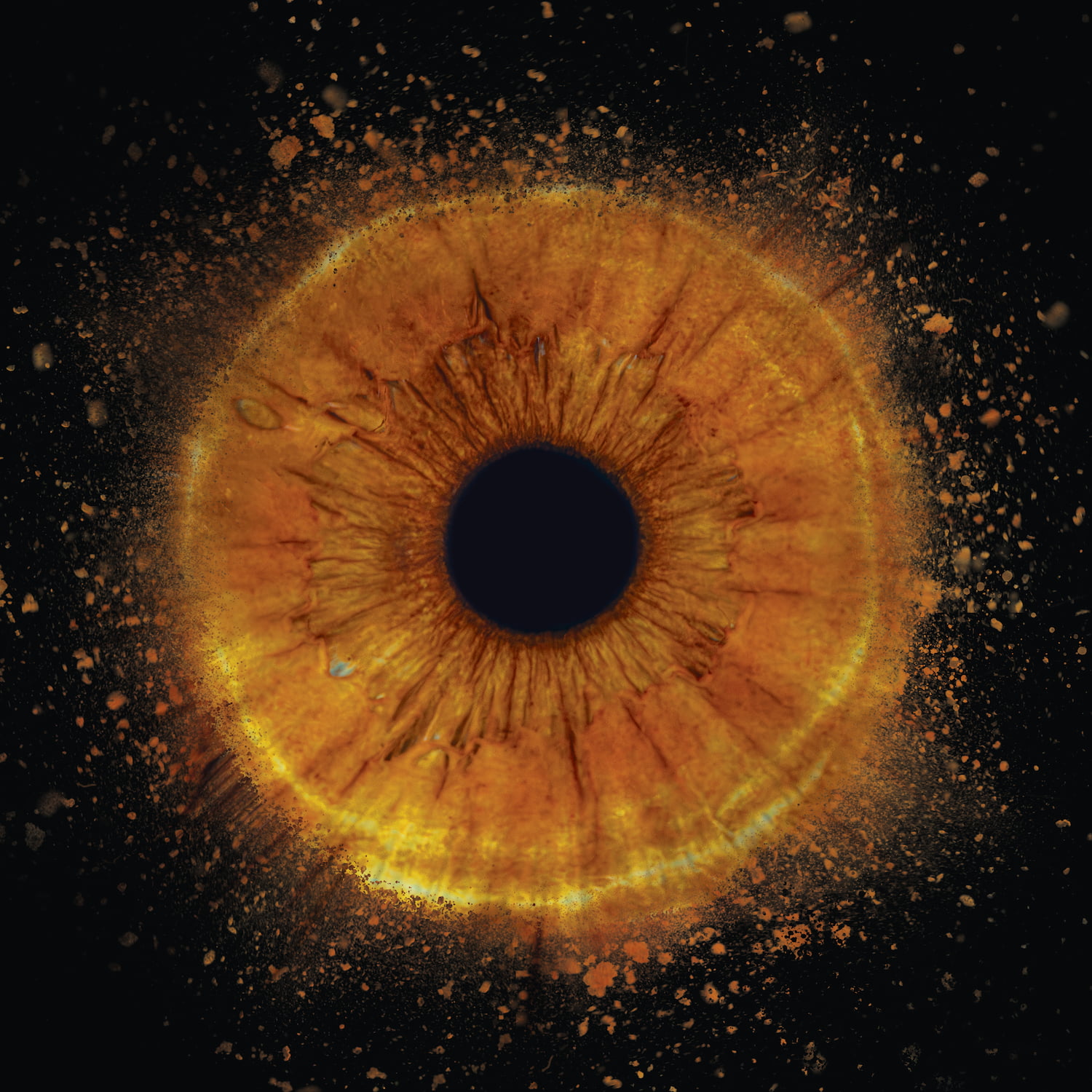 Zdjęcie z galerii: edit12