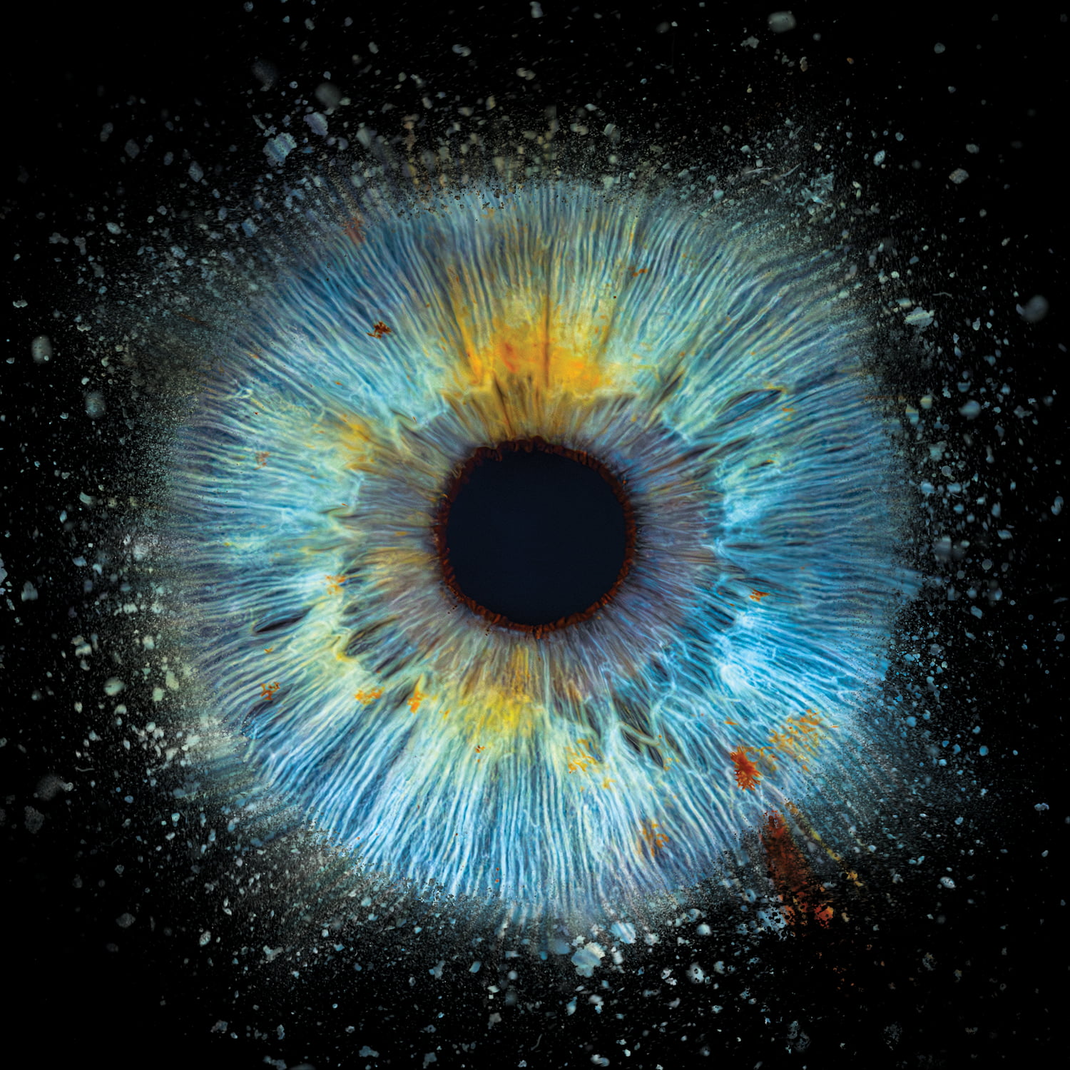 Zdjęcie z galerii: edit2