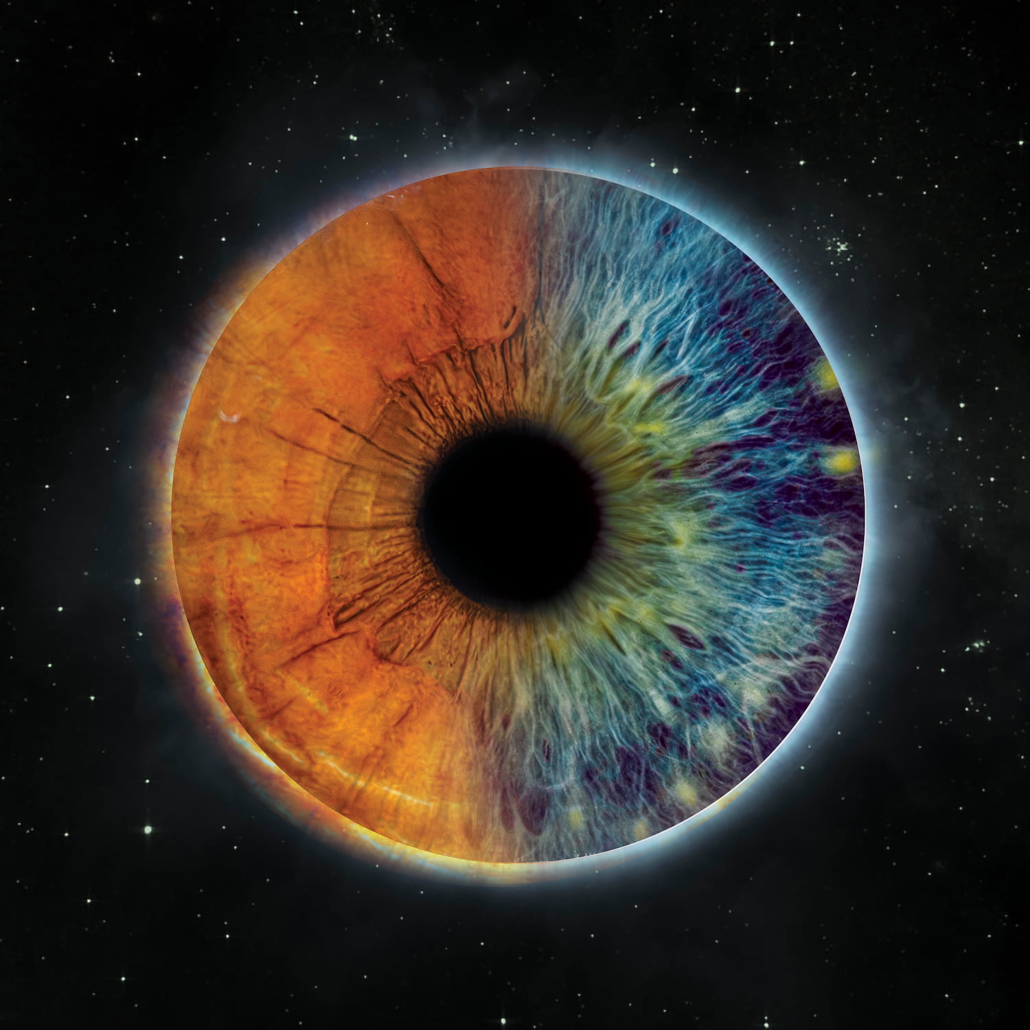 Zdjęcie z galerii: edit3