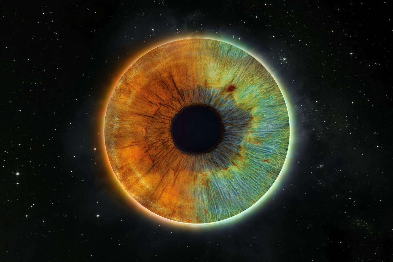 Zdjęcie z galerii: edit4