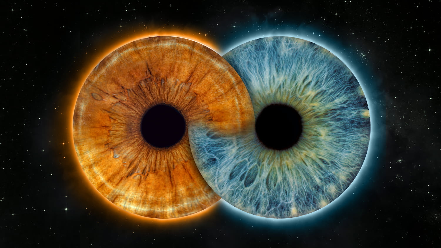 Zdjęcie z galerii: edit5