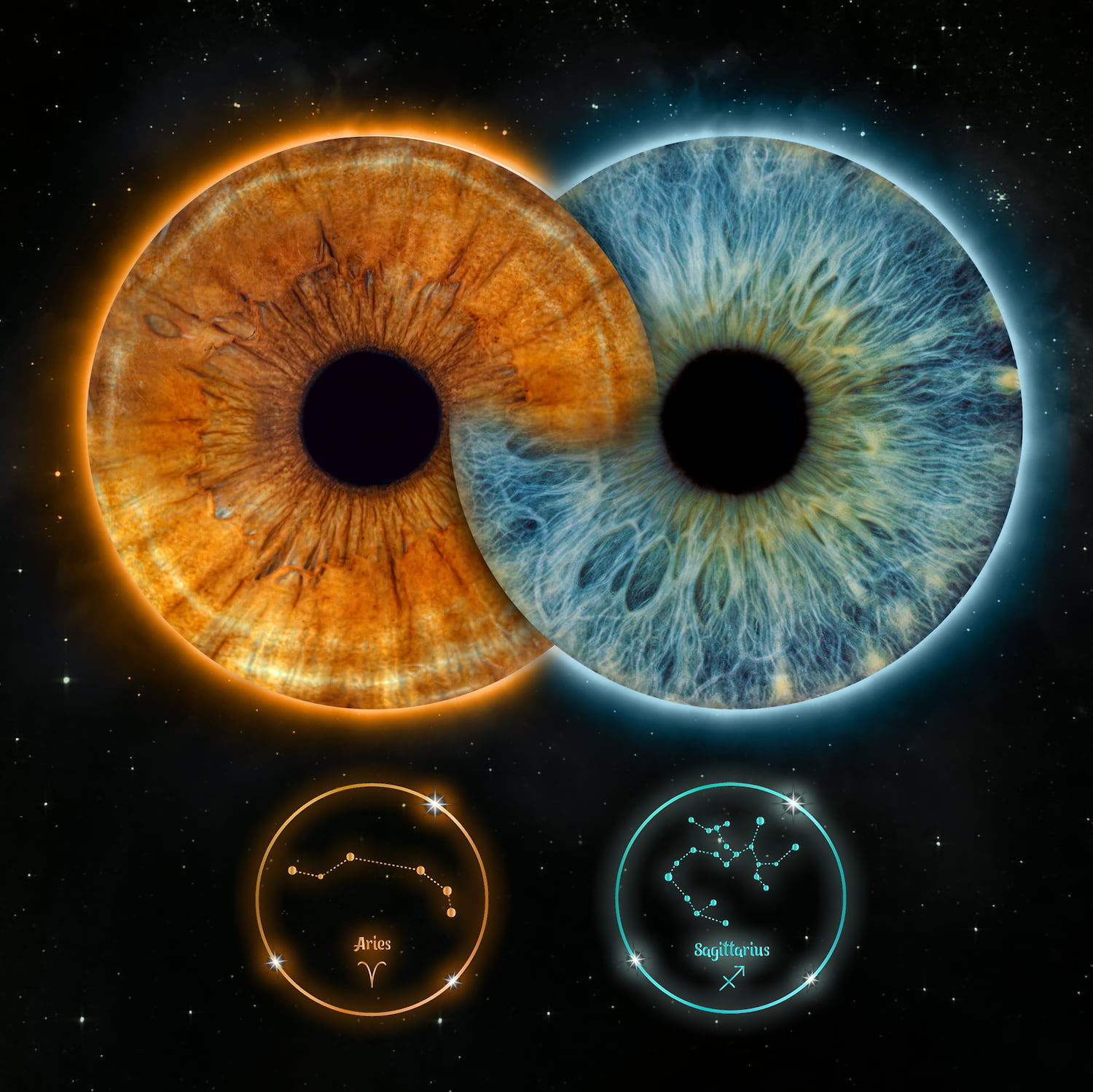 Zdjęcie z galerii: edit6