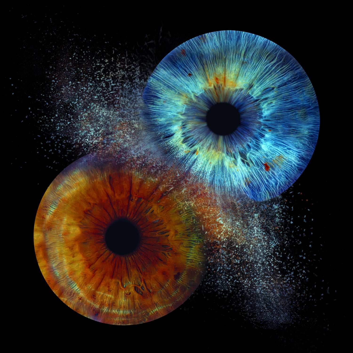 Zdjęcie z galerii: edit7