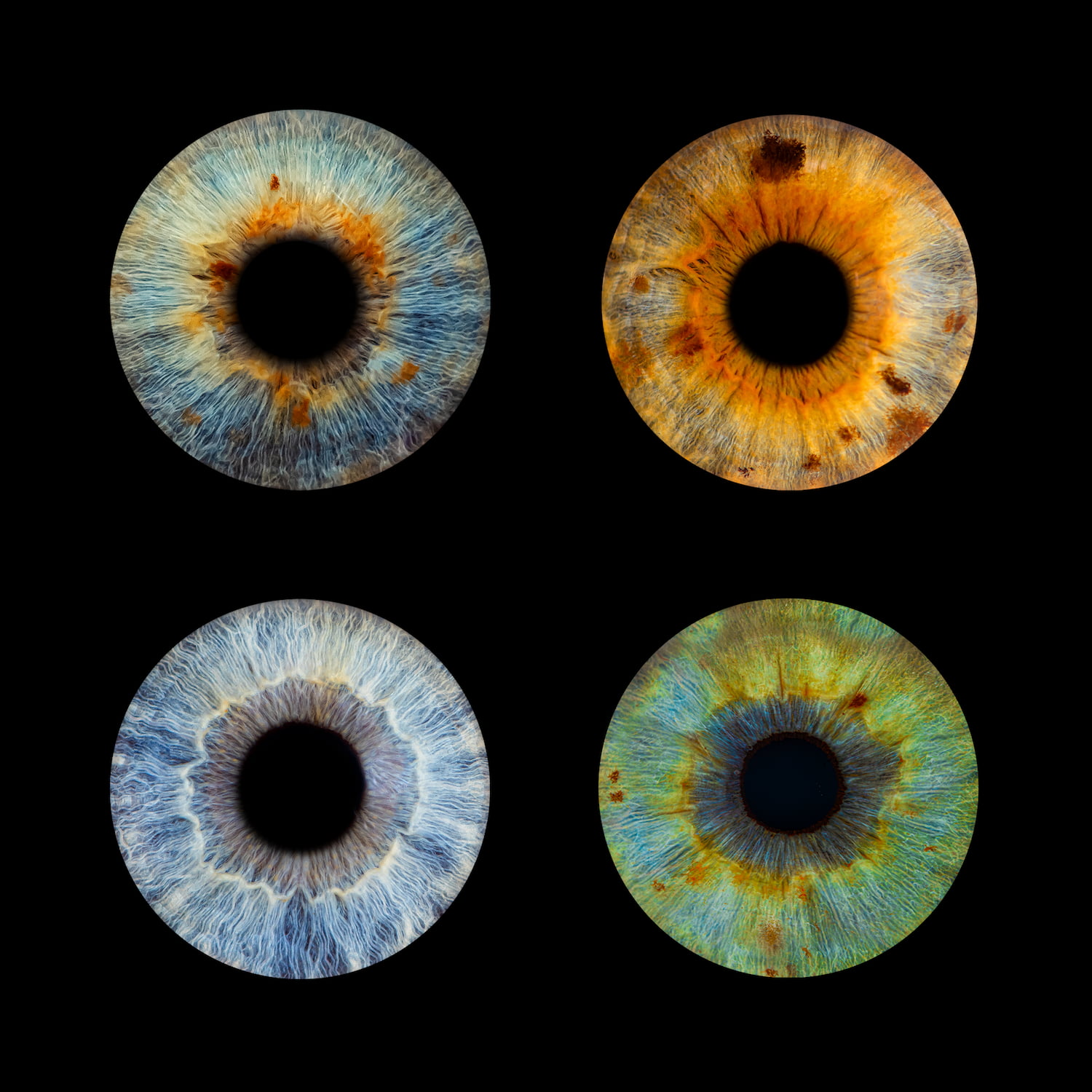 Zdjęcie z galerii: edit8