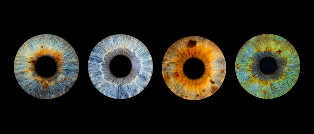 Zdjęcie z galerii: edit9