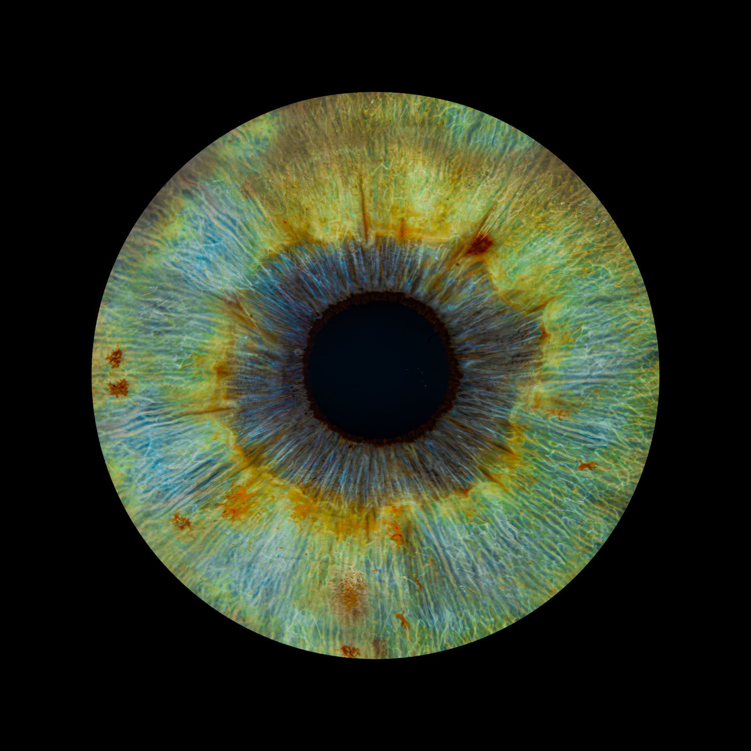 Zdjęcie z galerii: oko1