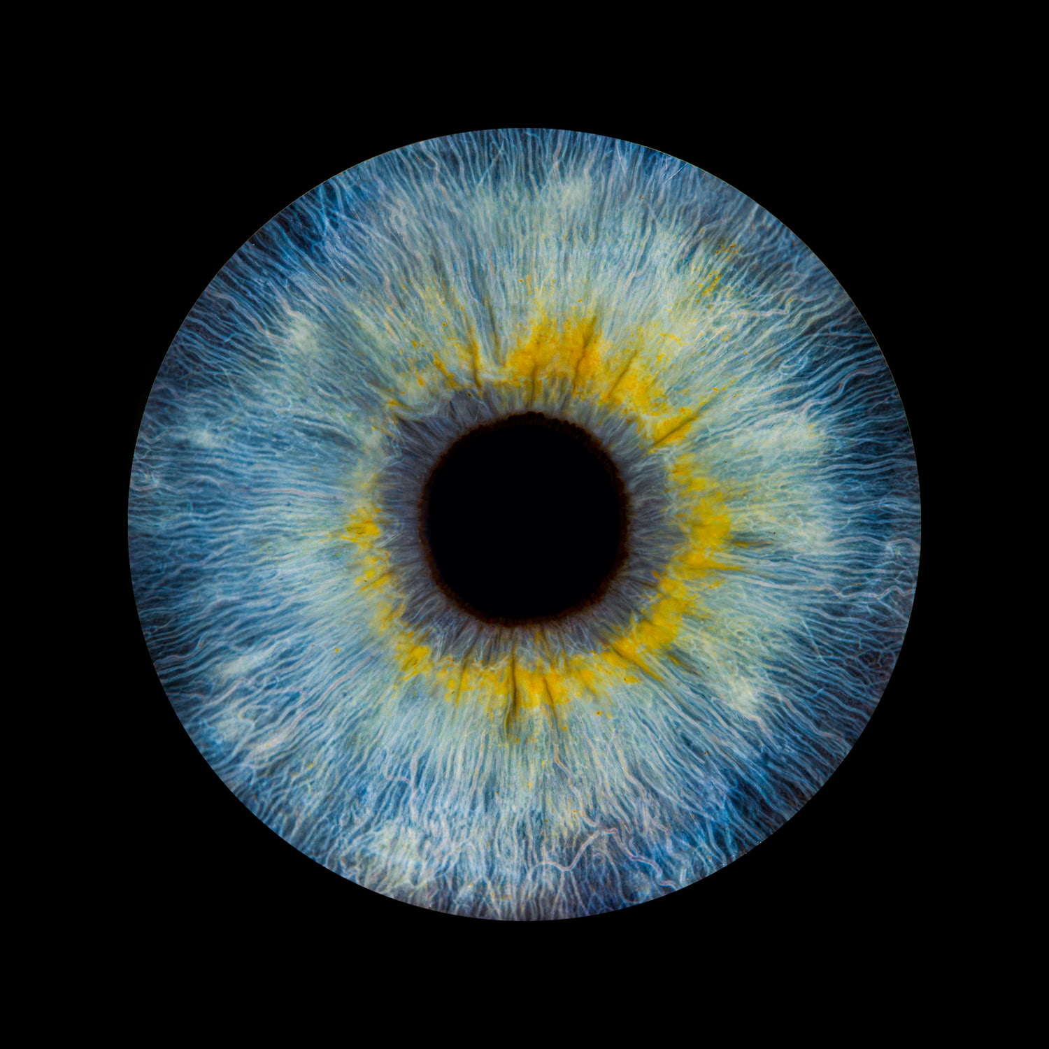 Zdjęcie z galerii: oko2