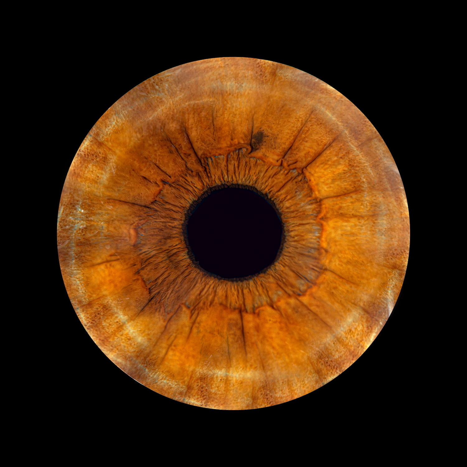 Zdjęcie z galerii: oko3