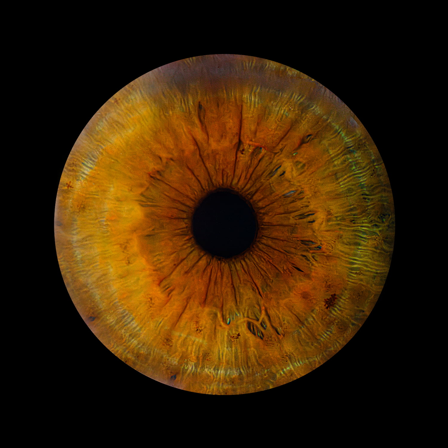 Zdjęcie z galerii: oko4