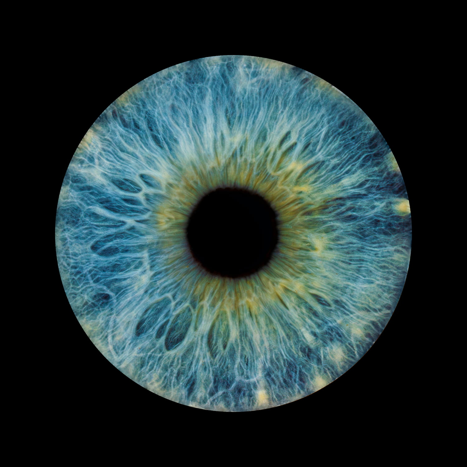 Zdjęcie z galerii: oko5