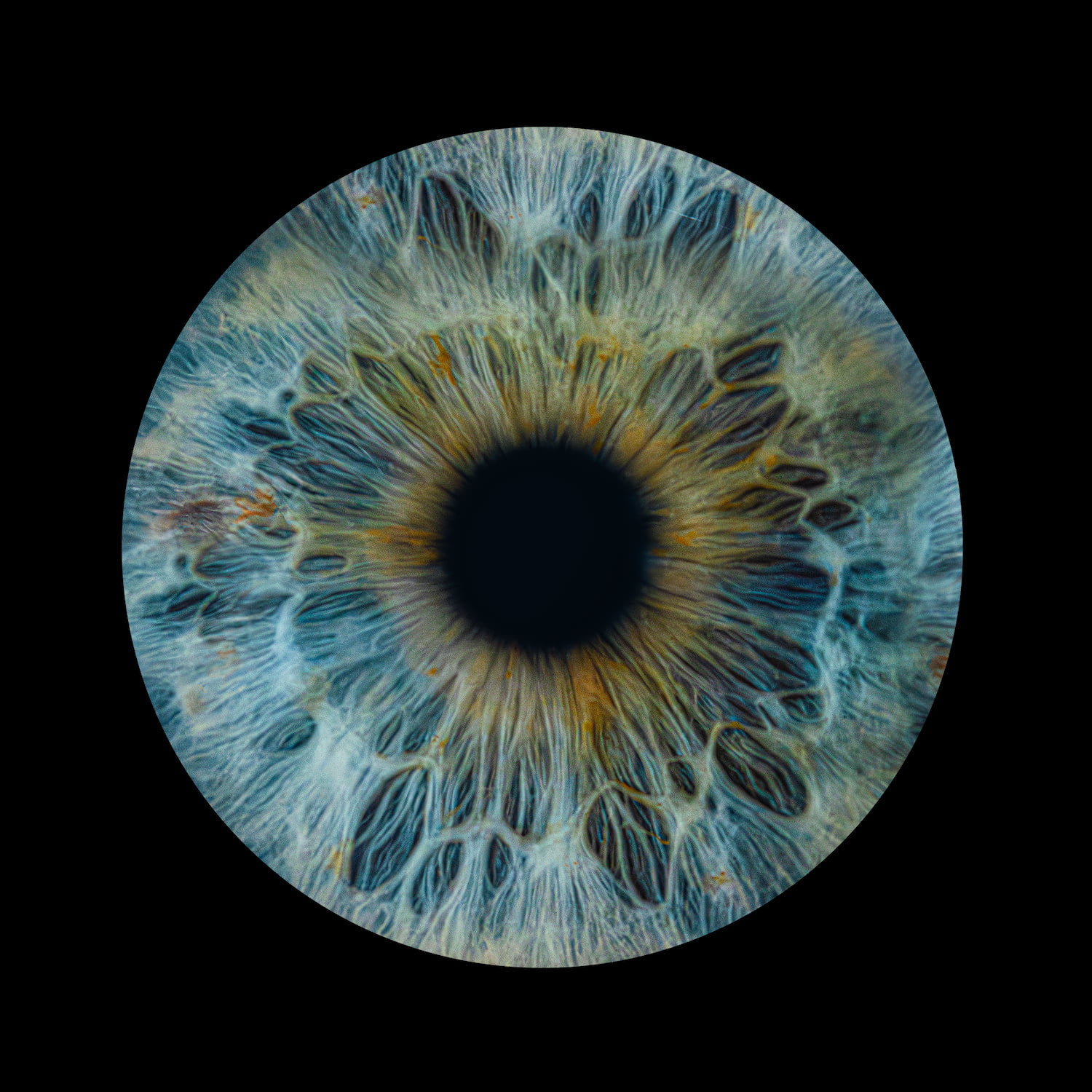 Zdjęcie z galerii: oko6