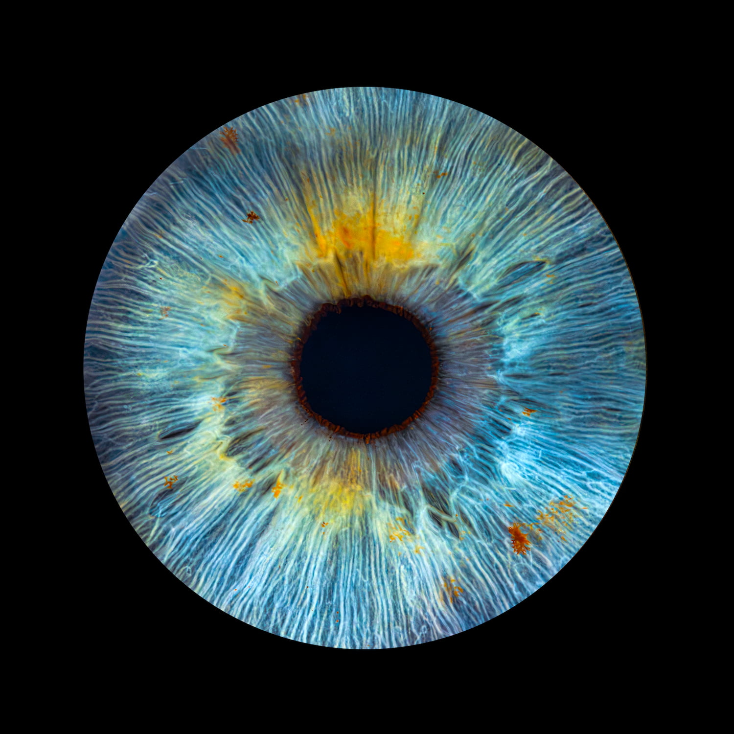 Zdjęcie z galerii: oko7