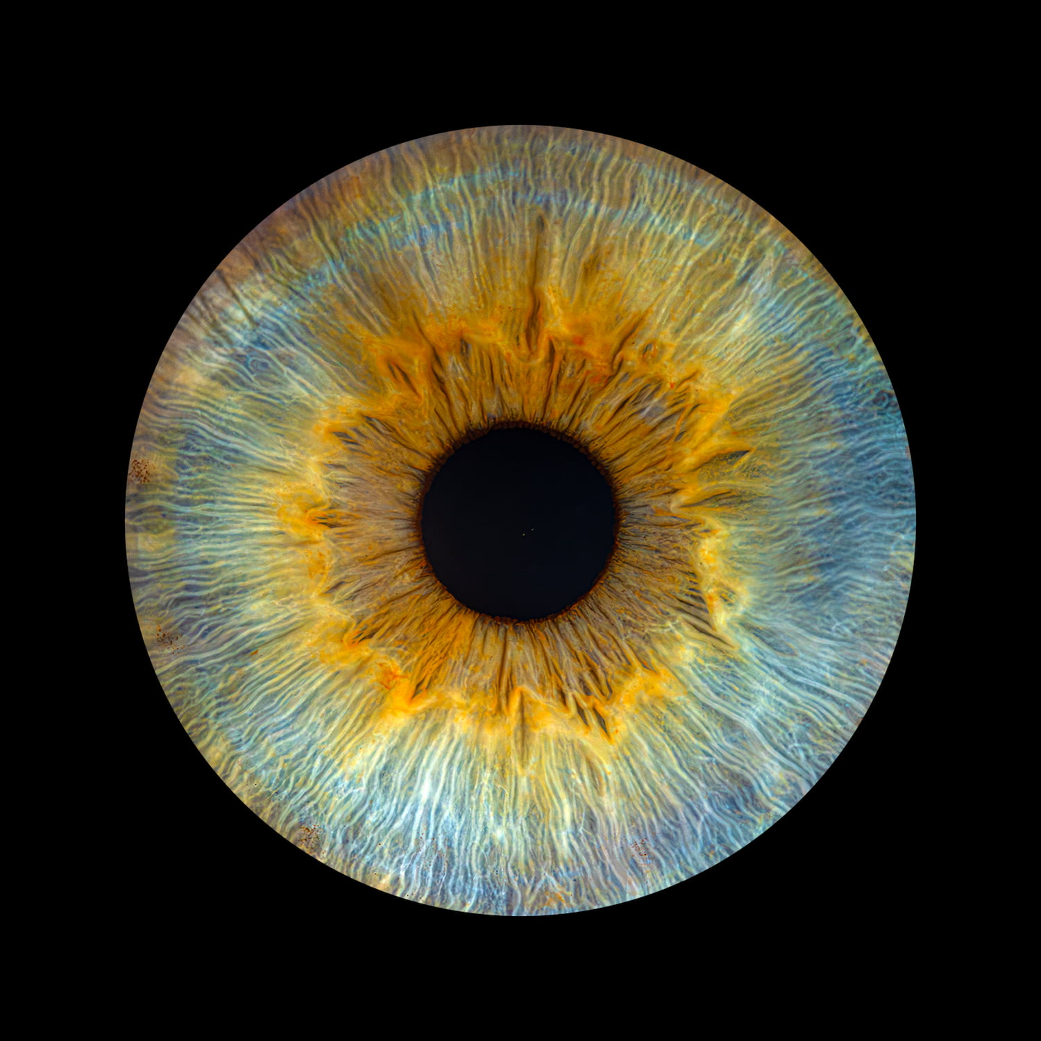 Zdjęcie z galerii: oko8