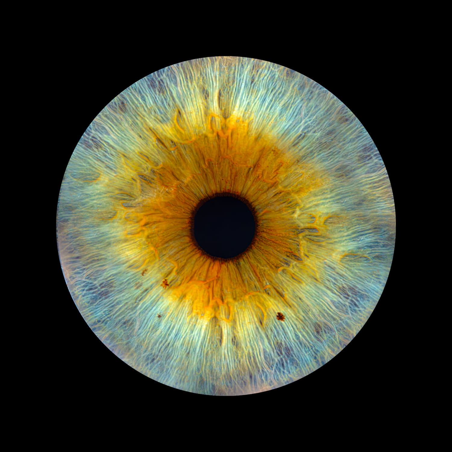 Zdjęcie z galerii: oko9