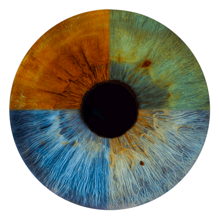 kolaż zdjęć tęczówek